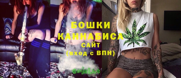 первитин Богородицк