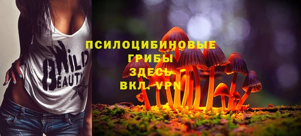 мескалин Богородск