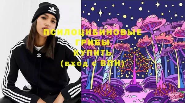первитин Богородицк