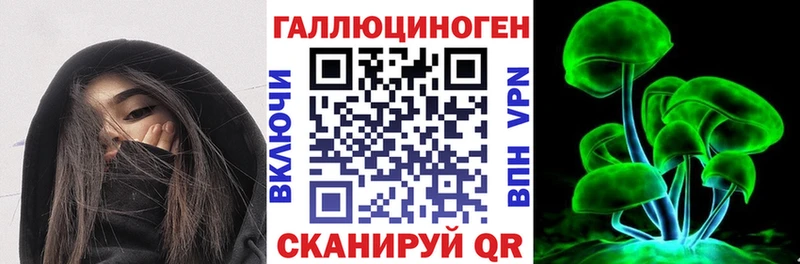 сколько стоит  Нюрба  Псилоцибиновые грибы MAGIC MUSHROOMS 